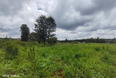 1 ac Land at Kerarapon Drive - 3