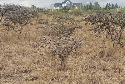 50 ac Land in Konza City