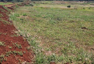 Land at Lioki Anmer Road( Off Kamiti Road)
