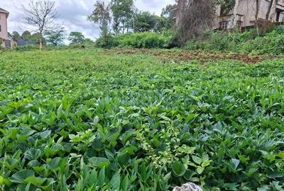 0.25 ac Land in Runda