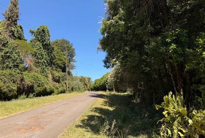 3 Bed House with En Suite in Tigoni - 2