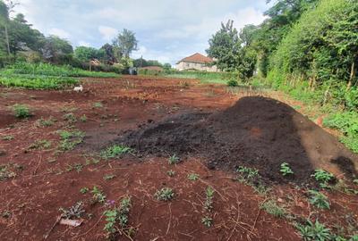 1.2 ac Land at Old Runda - 4