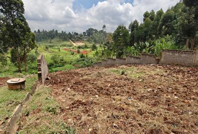 0.125 ac Land in Ruaka