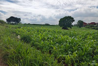 0.25 ac Land at Thika Road