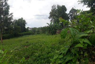 0.5 ac Residential Land in Thome