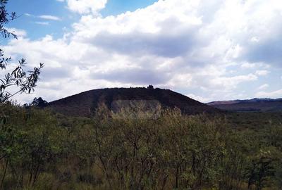 20,235 m² Land in Naivasha