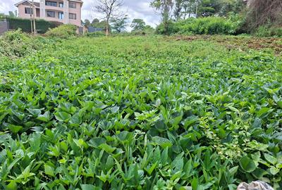 0.25 ac Land in Runda - 4