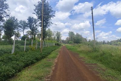 500 m² Residential Land in Tatu City
