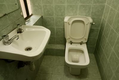 Studio Apartment with Borehole in Lavington - 4