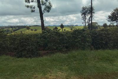 Land in Tigoni