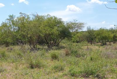 40 ac Residential Land at Magadi Road - 3