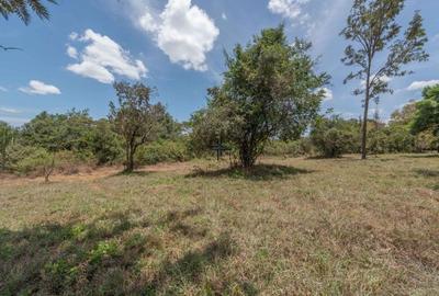 0.5 ac Land in Karen Hardy