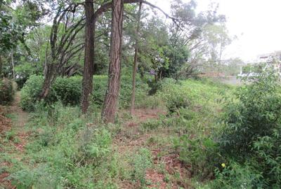 Land at Bogani Rd