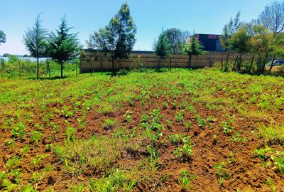 500 m² Residential Land at Runana Area