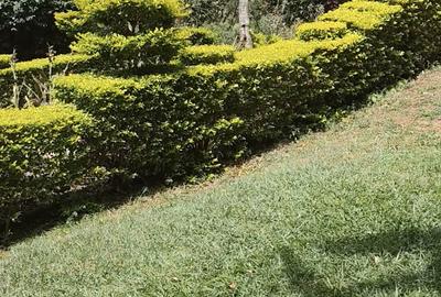 0.75 ac Land in Lavington - 2