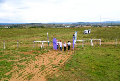 Residential Land in Naivasha - 4