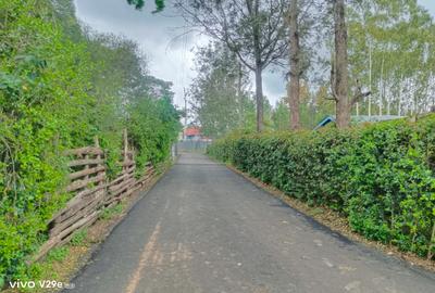 0.25 ac Land at Kerarapon Drive - 4