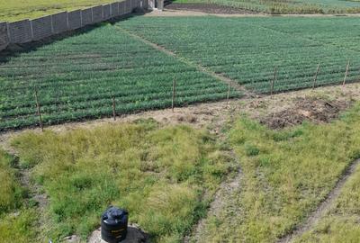 0.125 ac Land in Kisaju - 3