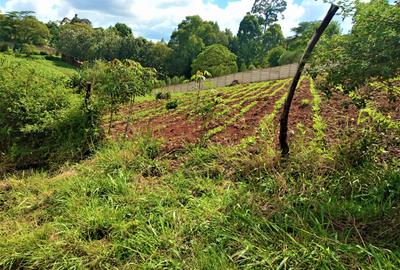 1.36 ac Residential Land at Kabarsiran Avenue - 4