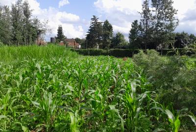 Residential Land in Kiambu Road