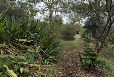 1 ac Land in Karen - 2