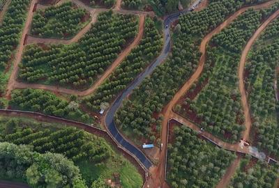 Residential Land in Thika