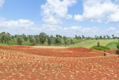 0.5 ac Land at Kiambu Road - 3