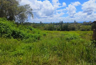 607 ac Land at Makuyu - 4