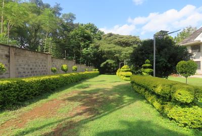 Commercial Property with Service Charge Included at Marula Road - 4