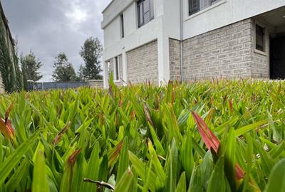 3 Bed Townhouse with Staff Quarters in Ngong