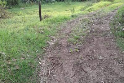 0.5 ac Residential Land in Karen