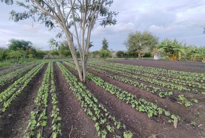 Residential Land in Athi River