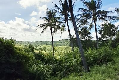 Land at Vipingo - 3