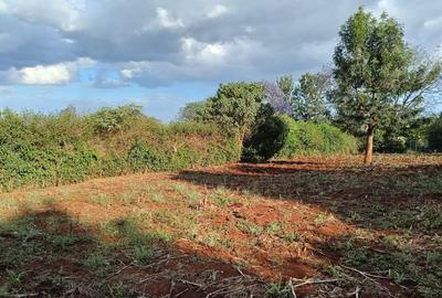 Residential Land at Kiukenda