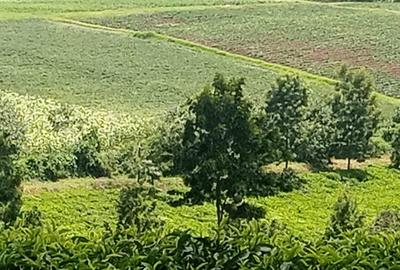 2 ac Land at Karlo Rd