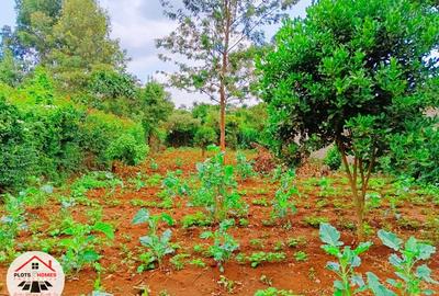 500 m² Residential Land at Thogoto Teachers College Neighborhood