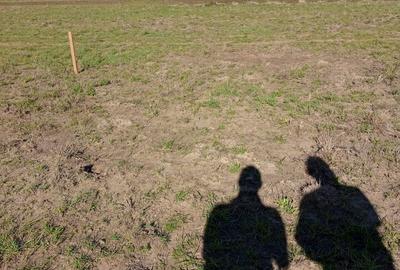 Residential Land at Malaa - 2