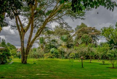 5 Bed House with En Suite in Karen - 3