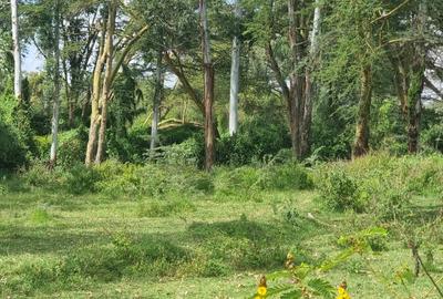 5.5 ac Land in Naivasha