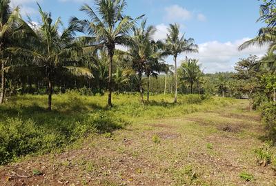 0.25 ac Land in Vipingo - 2
