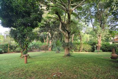 4 Bed House with En Suite in Nyari - 4