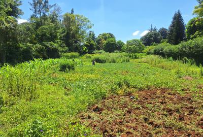 Residential Land in Runda