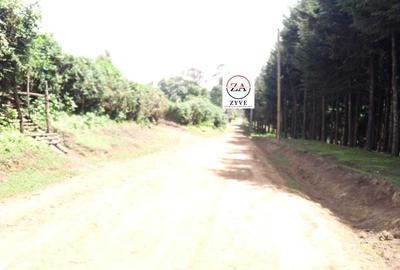 2 ac Land at Lari