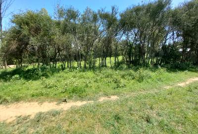 5 ac Residential Land at Nanyuki - 4