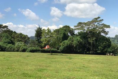 21 ac Land in Tigoni - 3