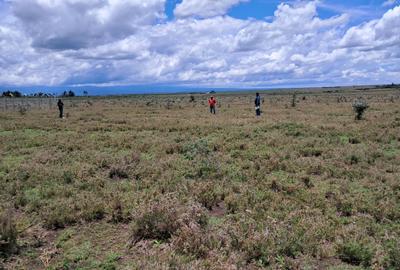 0.405 ha Land in Nanyuki - 4