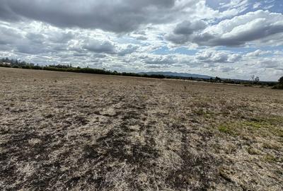 Land at Rangau