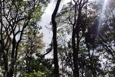 0.5 ac Land at Hardy - 3