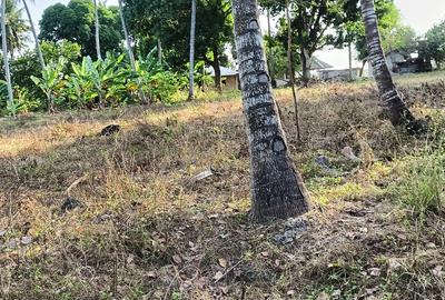 15 ac Land at Bomani