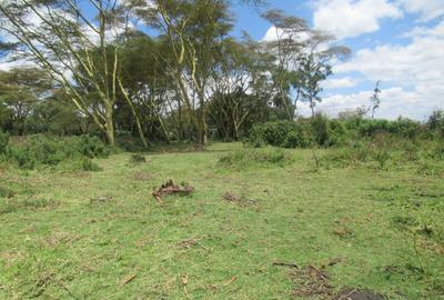 25 ac Land at Moi South Lake Rd